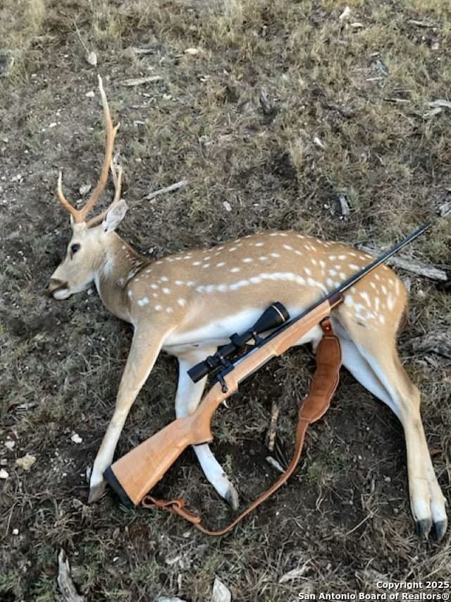 33.84 acres in Edwards County gallery image 4