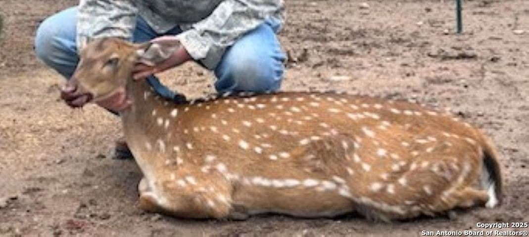 33.84 acres in Edwards County gallery image 3