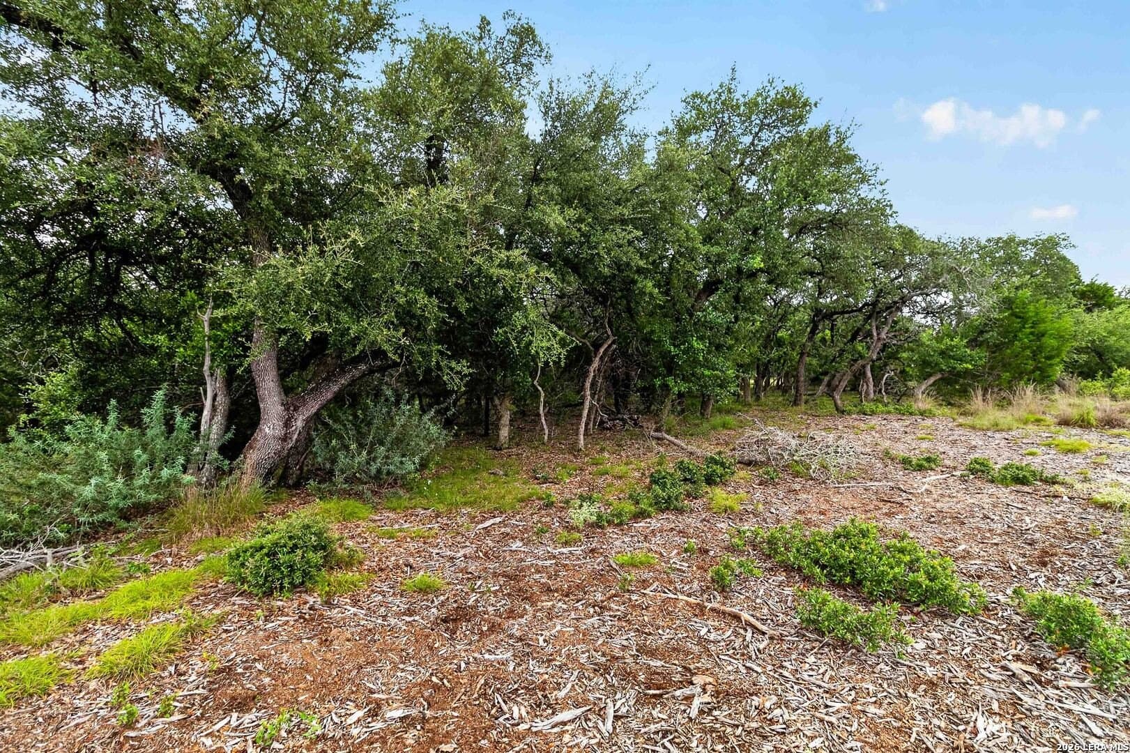 1.7 acres in Comal County - photo 8