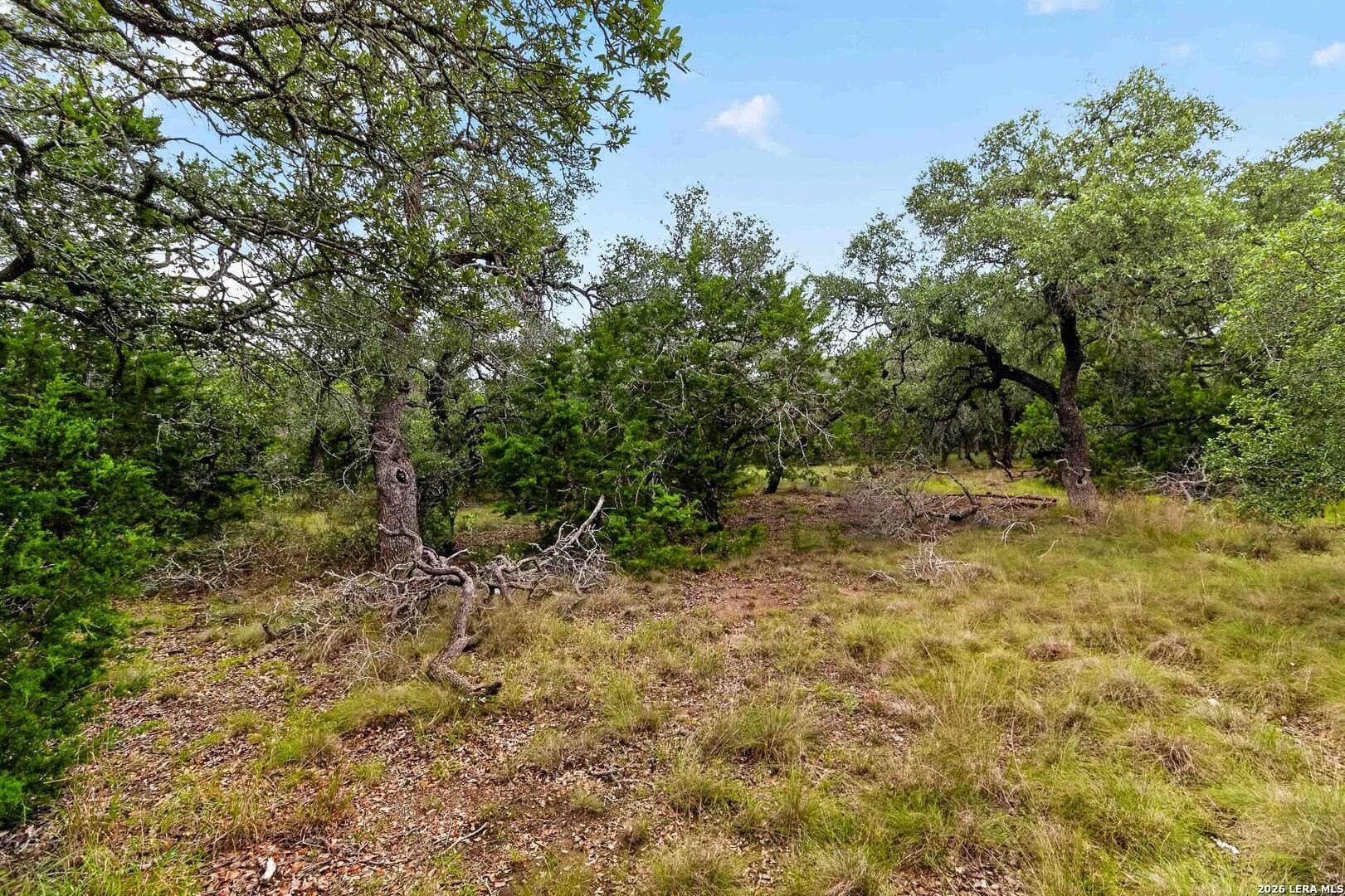 1.7 acres in Comal County - photo 6
