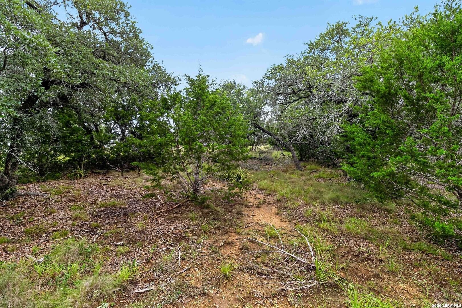 1.7 acres in Comal County - photo 7