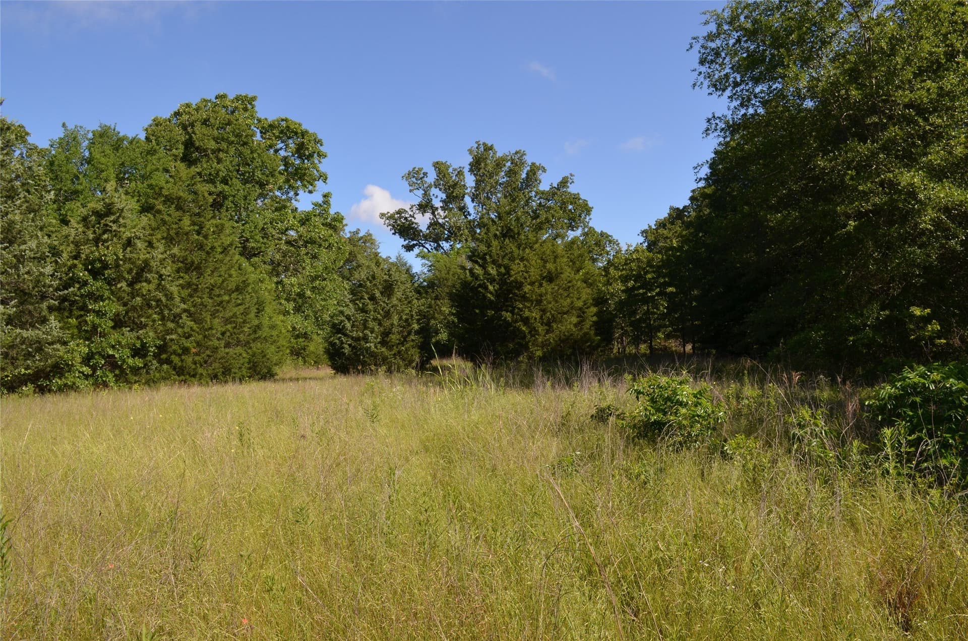 20.2 acres in Van Zandt County - photo 7