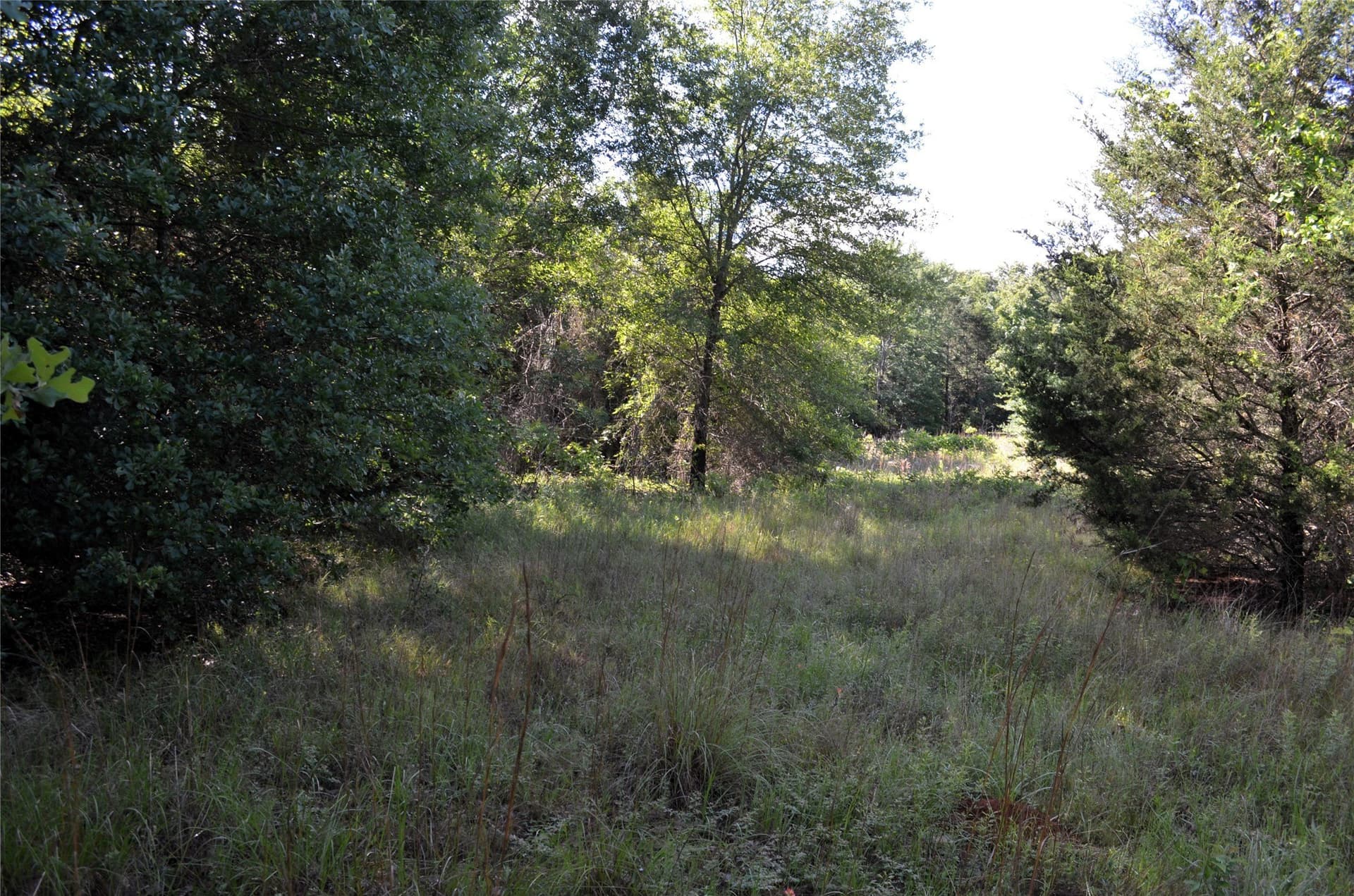 20.2 acres in Van Zandt County - photo 12