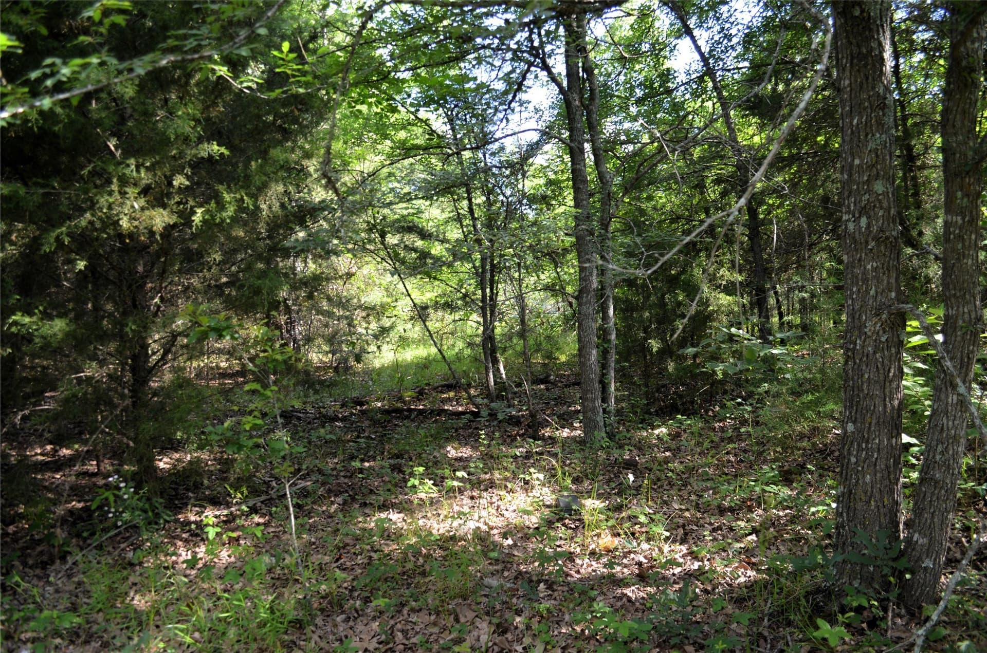 20.2 acres in Van Zandt County - photo 15