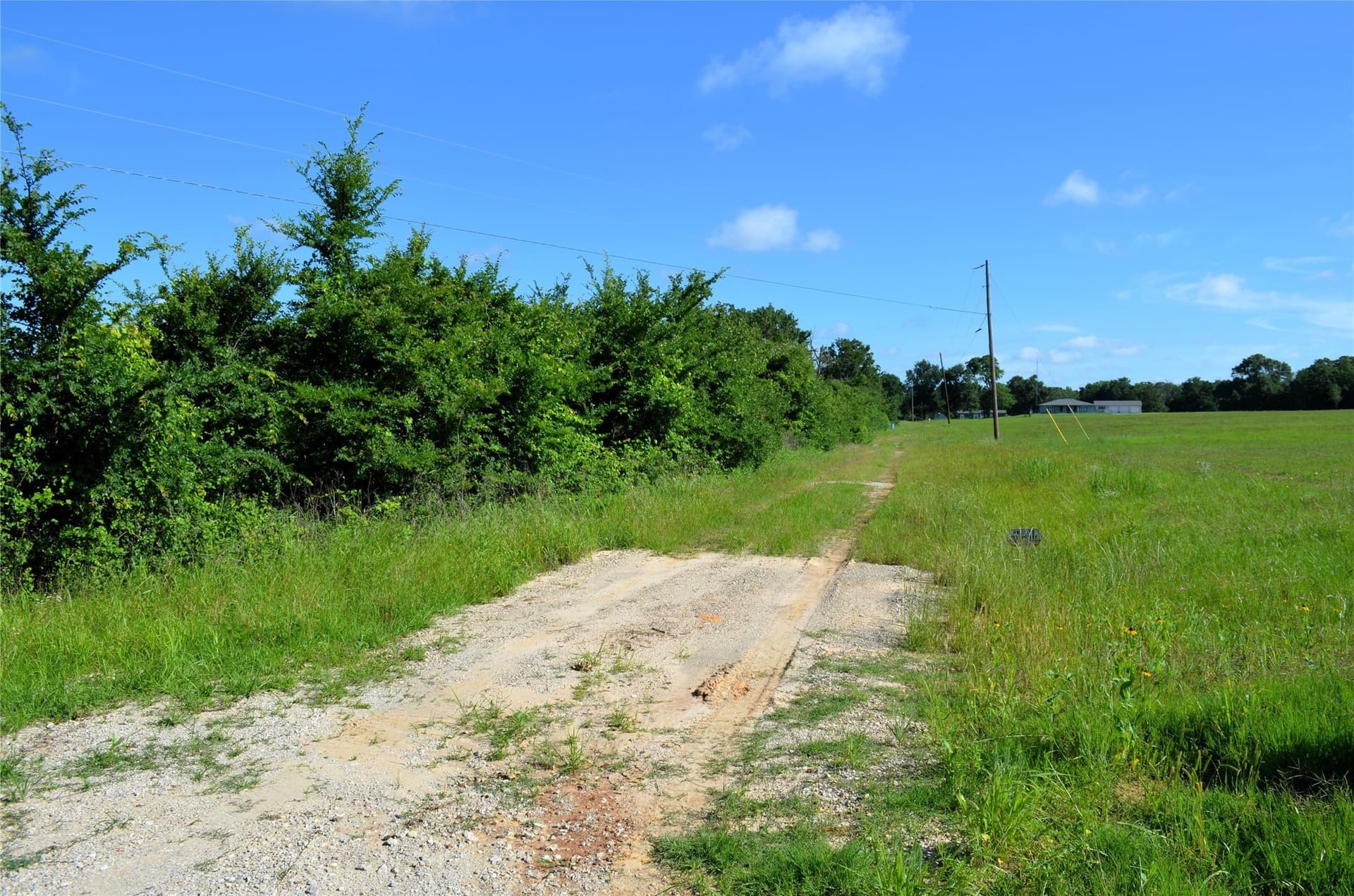 20.2 acres in Van Zandt County - photo 6