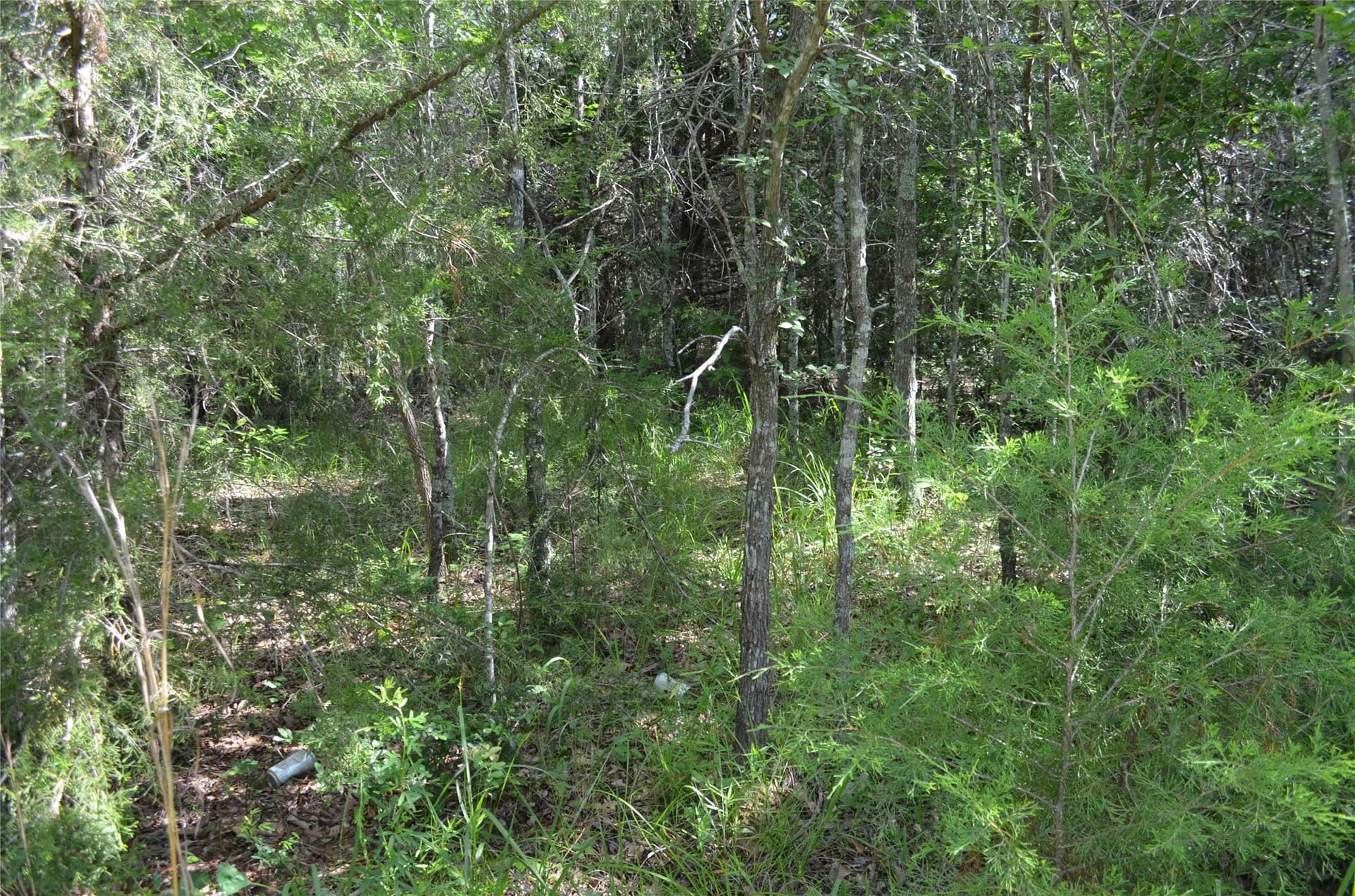 20.2 acres in Van Zandt County - photo 19