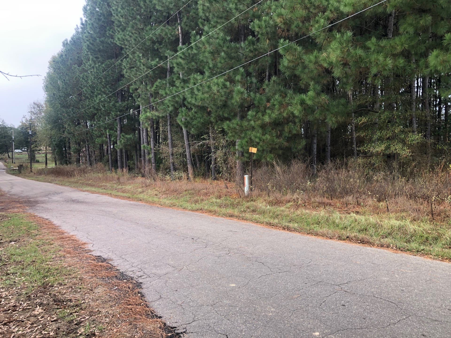 0.9 acres in Camp County gallery image 3