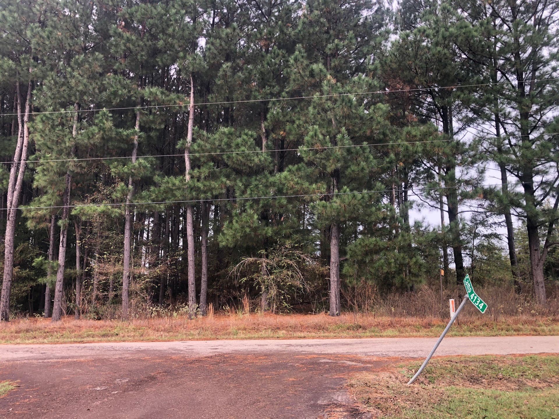 0.9 acres in Camp County featured view