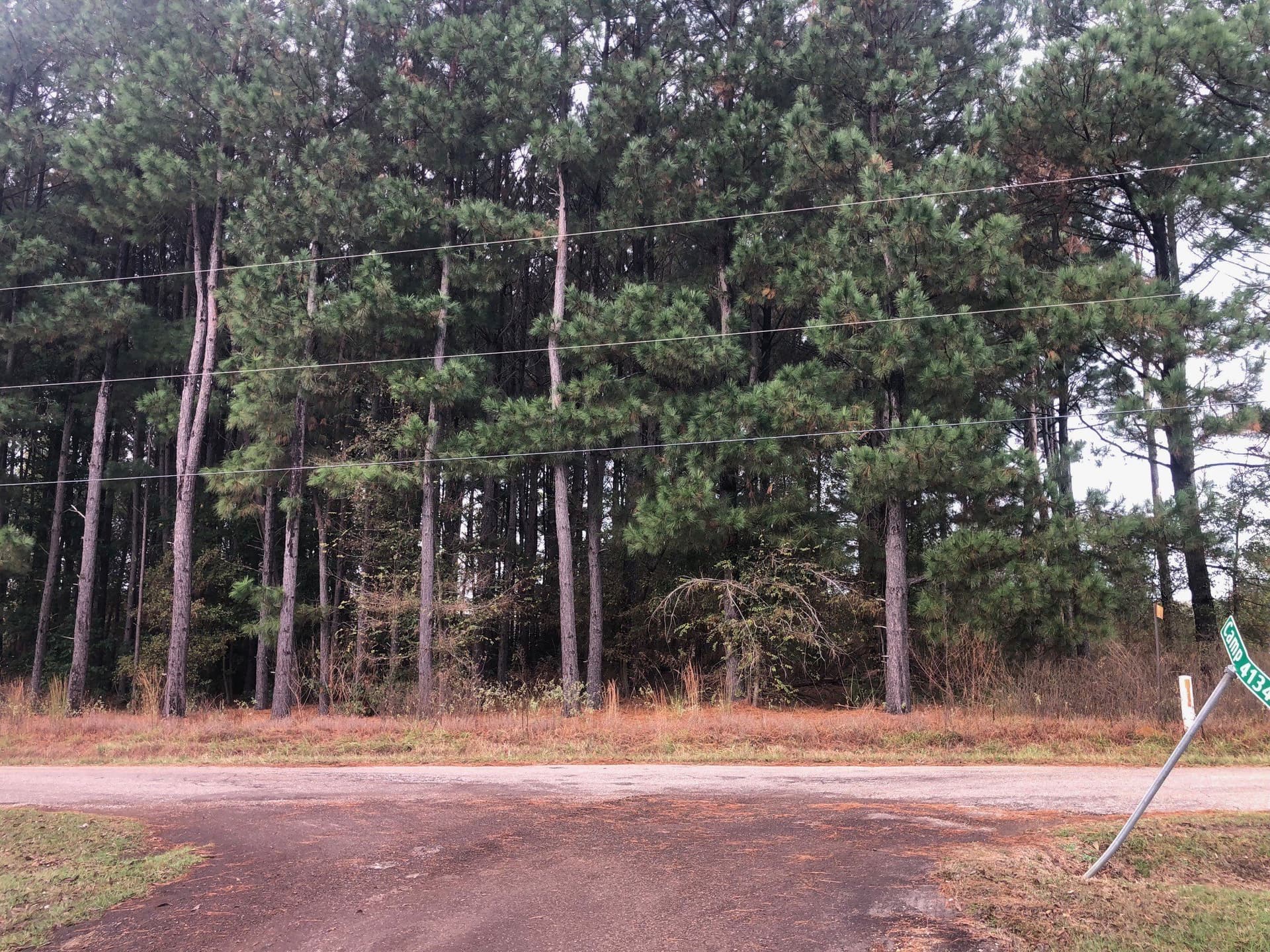 0.9 acres in Camp County gallery image 4