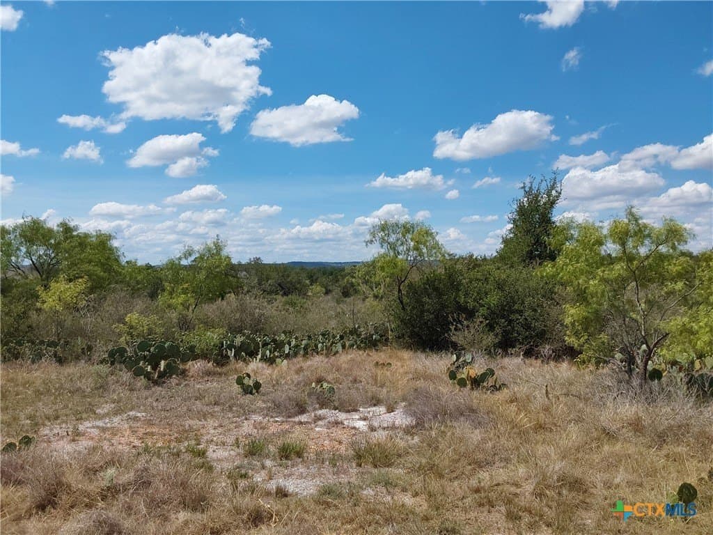 1.25 acres in Burnet County gallery image 2