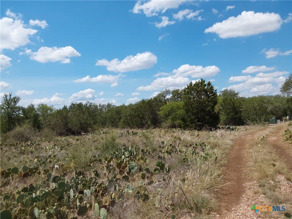 1.25 acres in Burnet County - photo 8