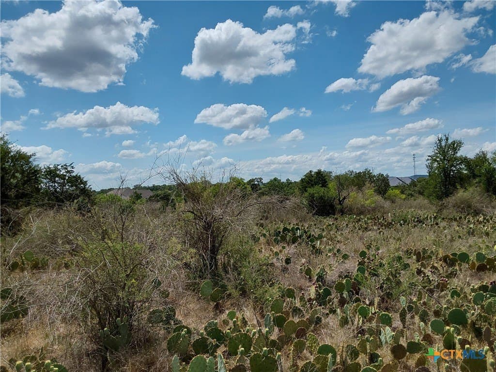 1.25 acres in Burnet County - photo 7