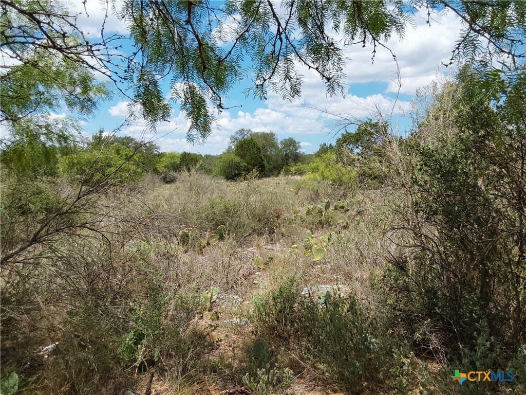 1.25 acres in Burnet County - photo 17