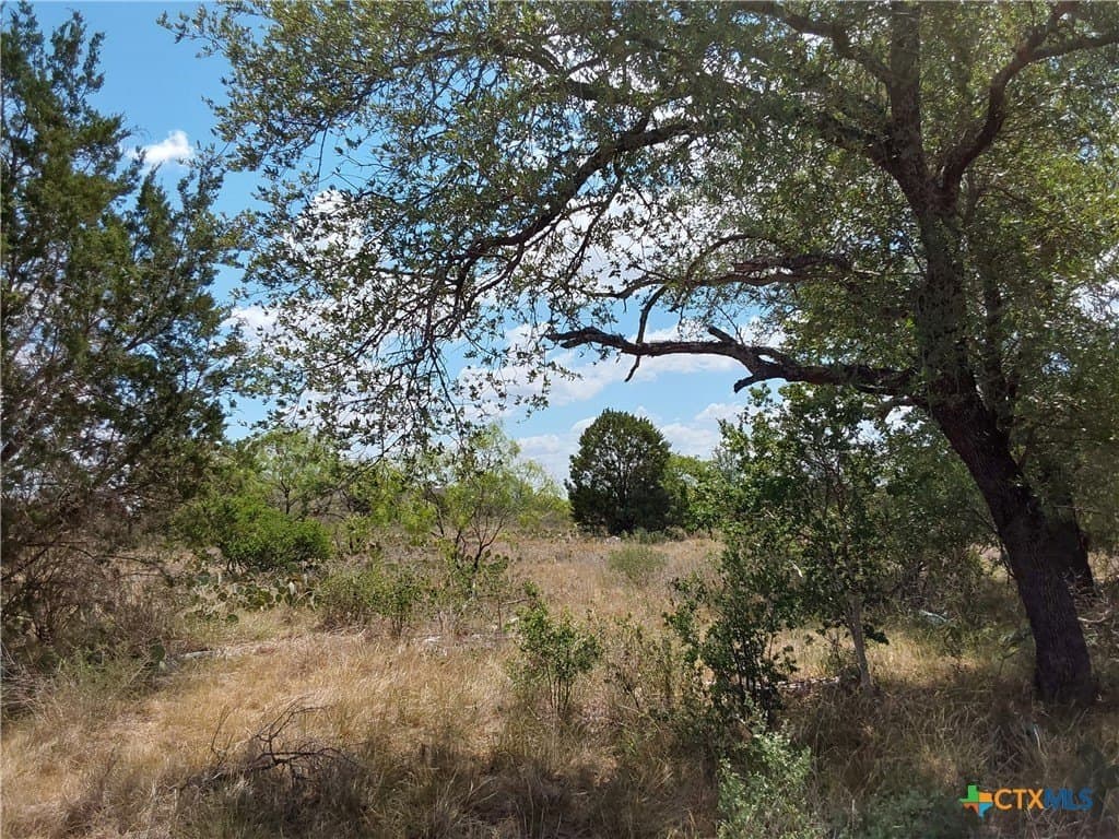 1.25 acres in Burnet County - photo 10