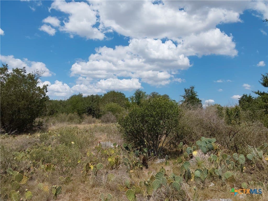 1.25 acres in Burnet County - photo 14