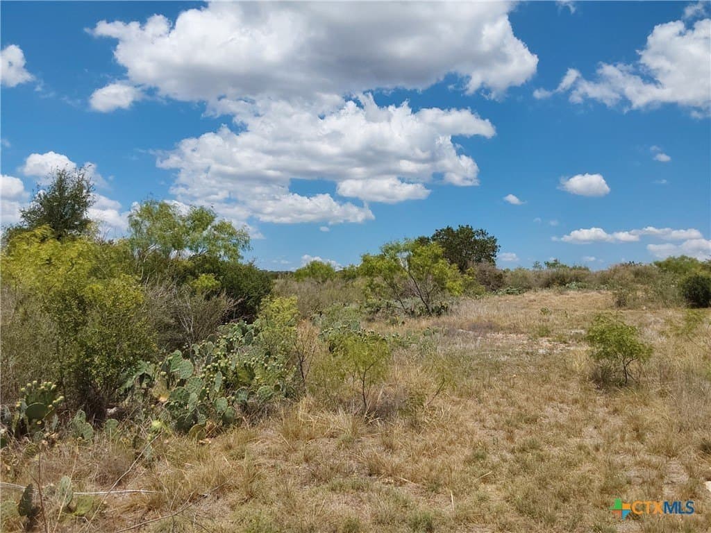 1.25 acres in Burnet County gallery image 3