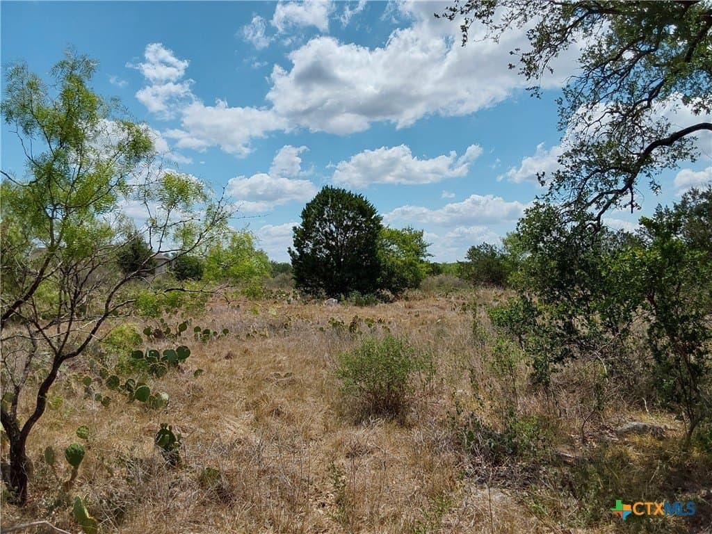 1.25 acres in Burnet County - photo 12