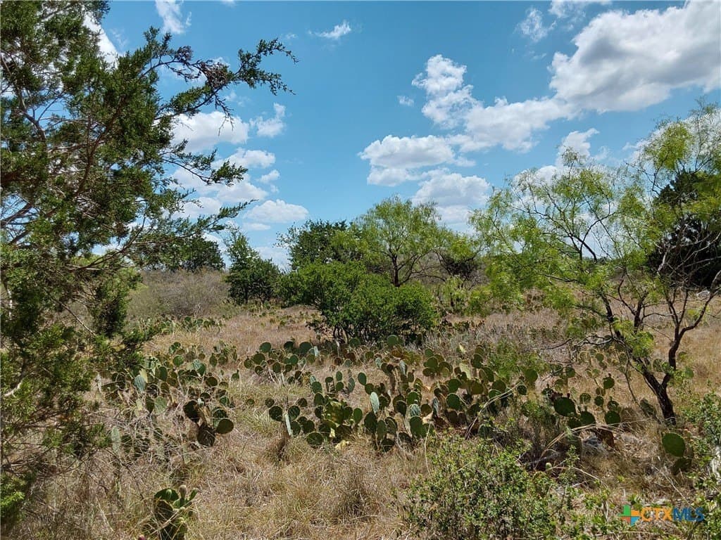 1.25 acres in Burnet County - photo 11