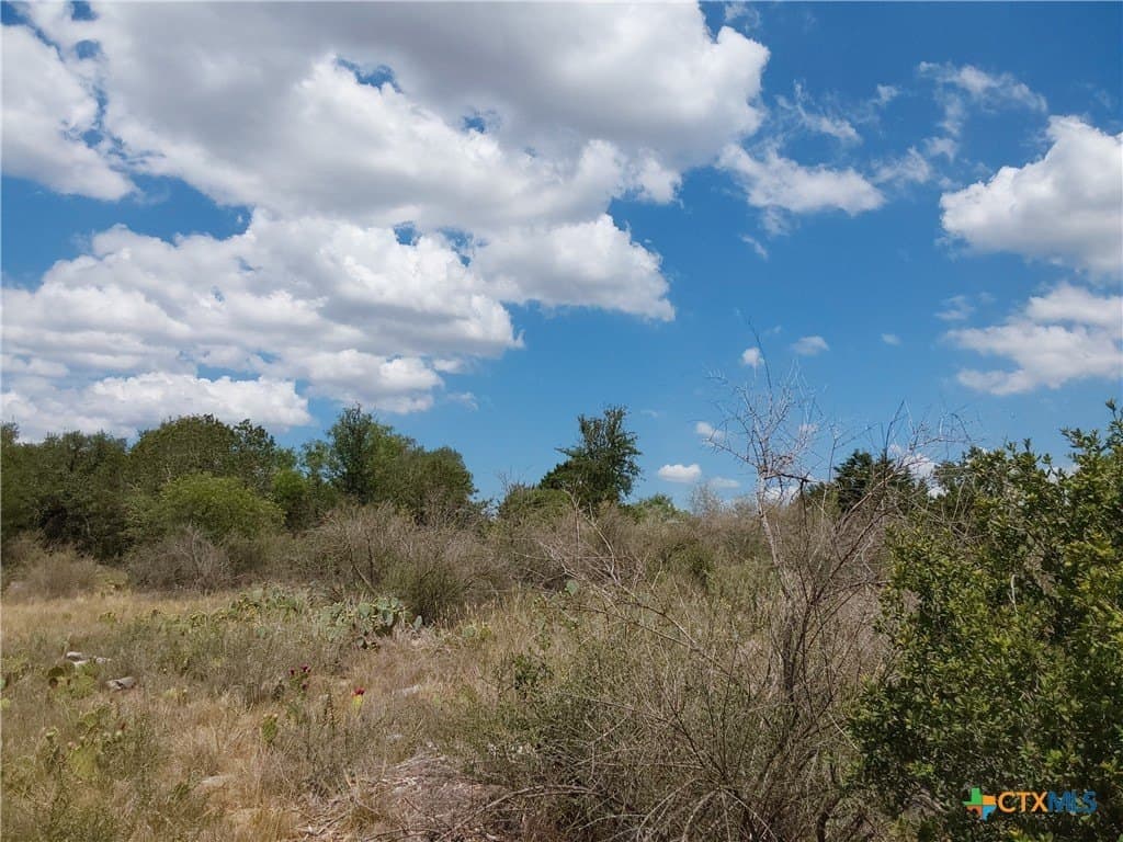 1.25 acres in Burnet County - photo 15