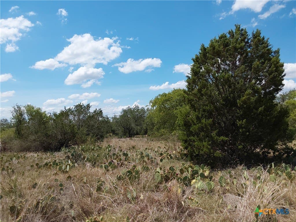 1.25 acres in Burnet County - photo 9