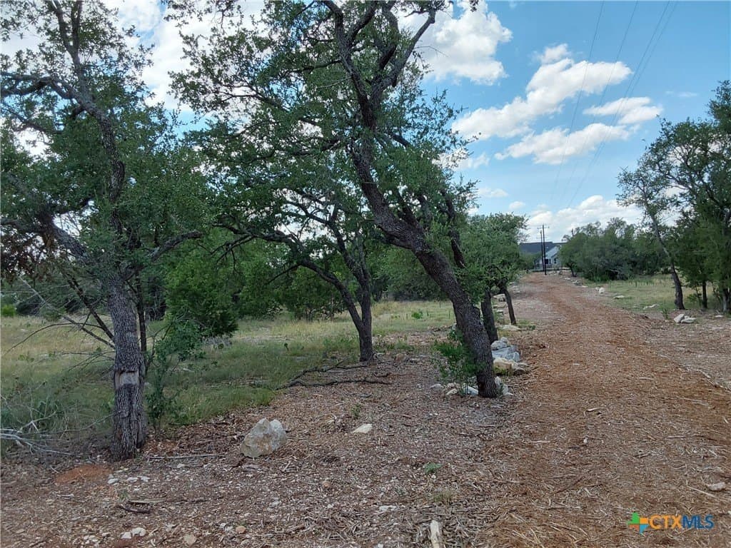 1.25 acres in Burnet County - photo 18