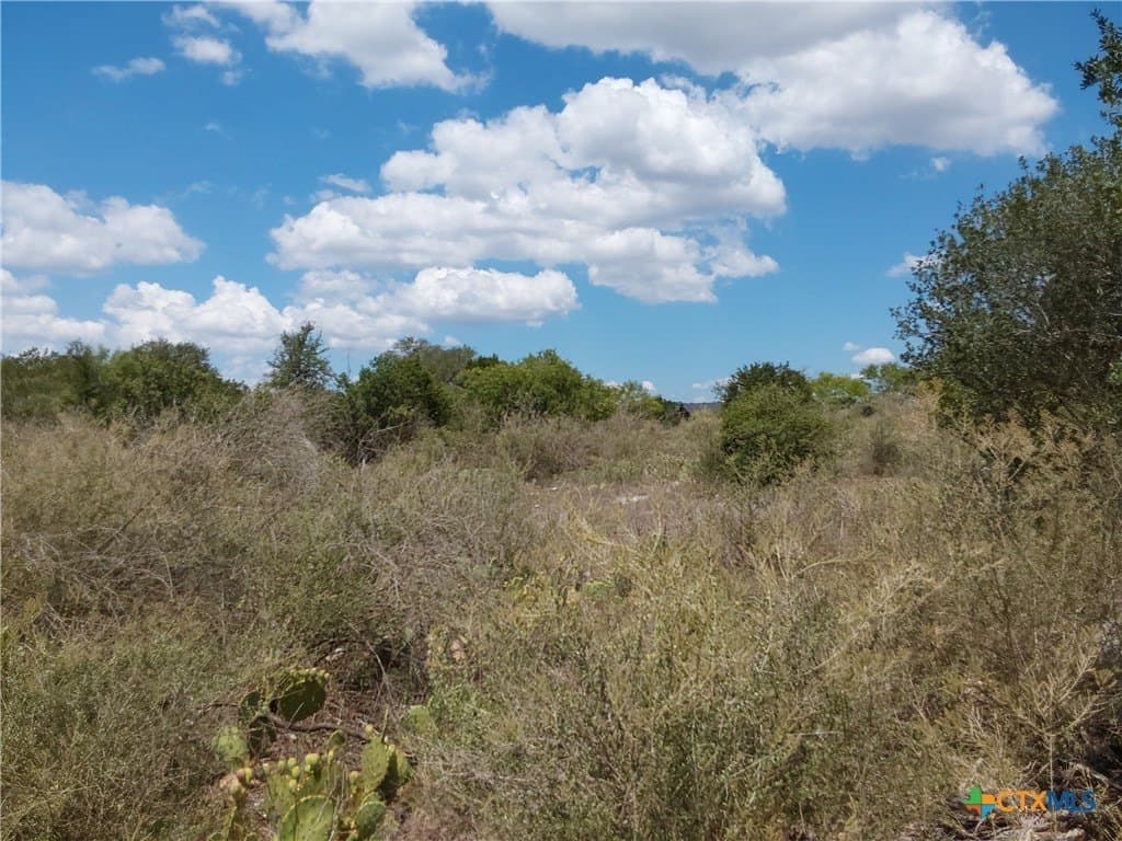 1.25 acres in Burnet County - photo 13