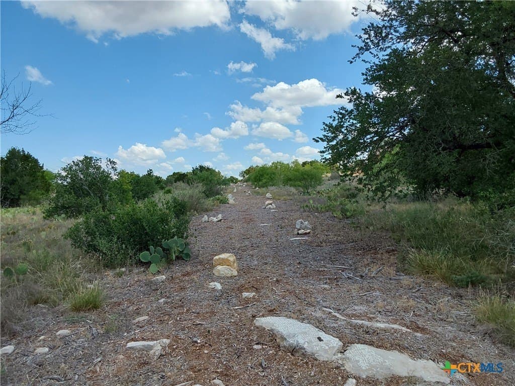 1.25 acres in Burnet County - photo 19