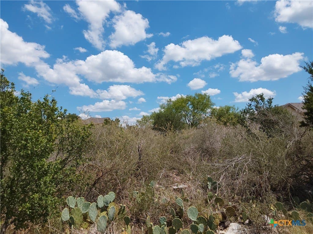 1.25 acres in Burnet County - photo 16
