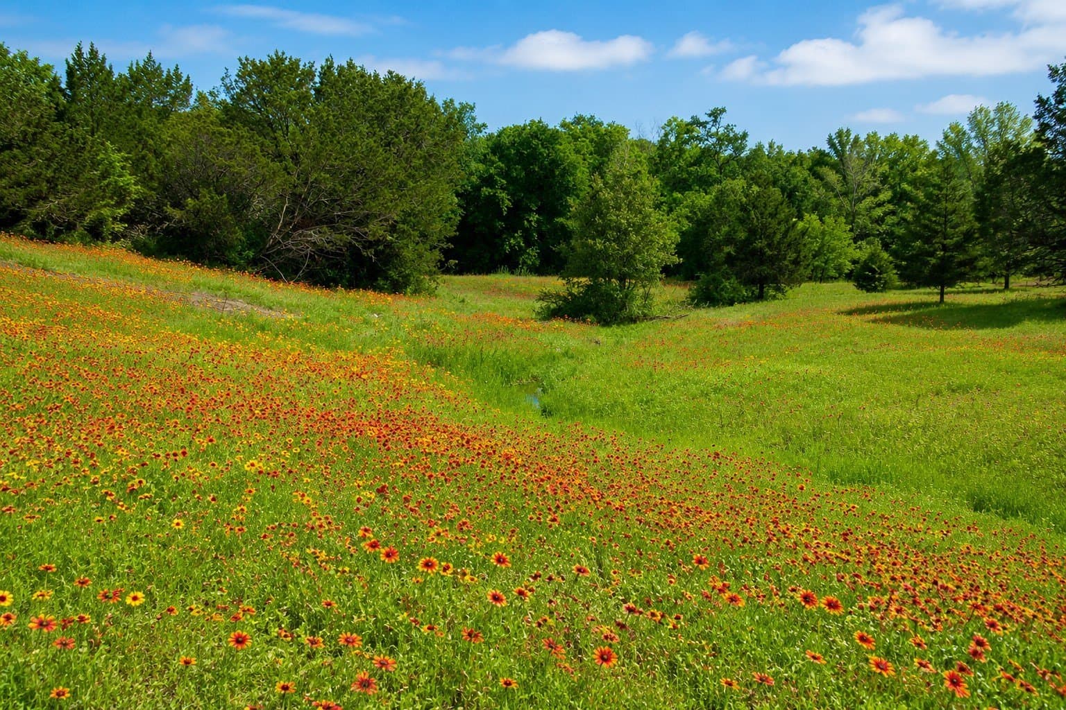 36.42 acres in Erath County - photo 33
