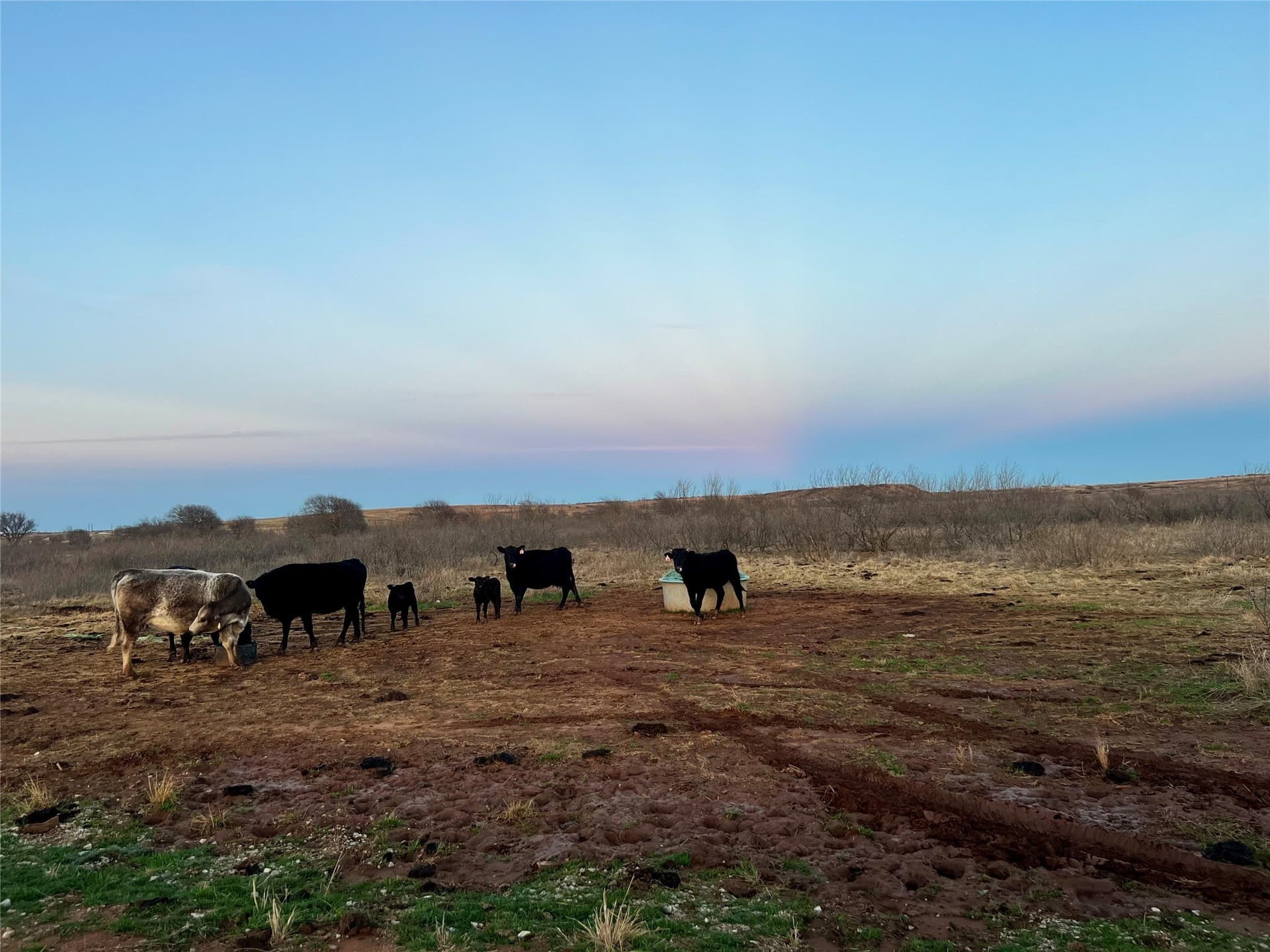 10.01 acres in Montague County - photo 2
