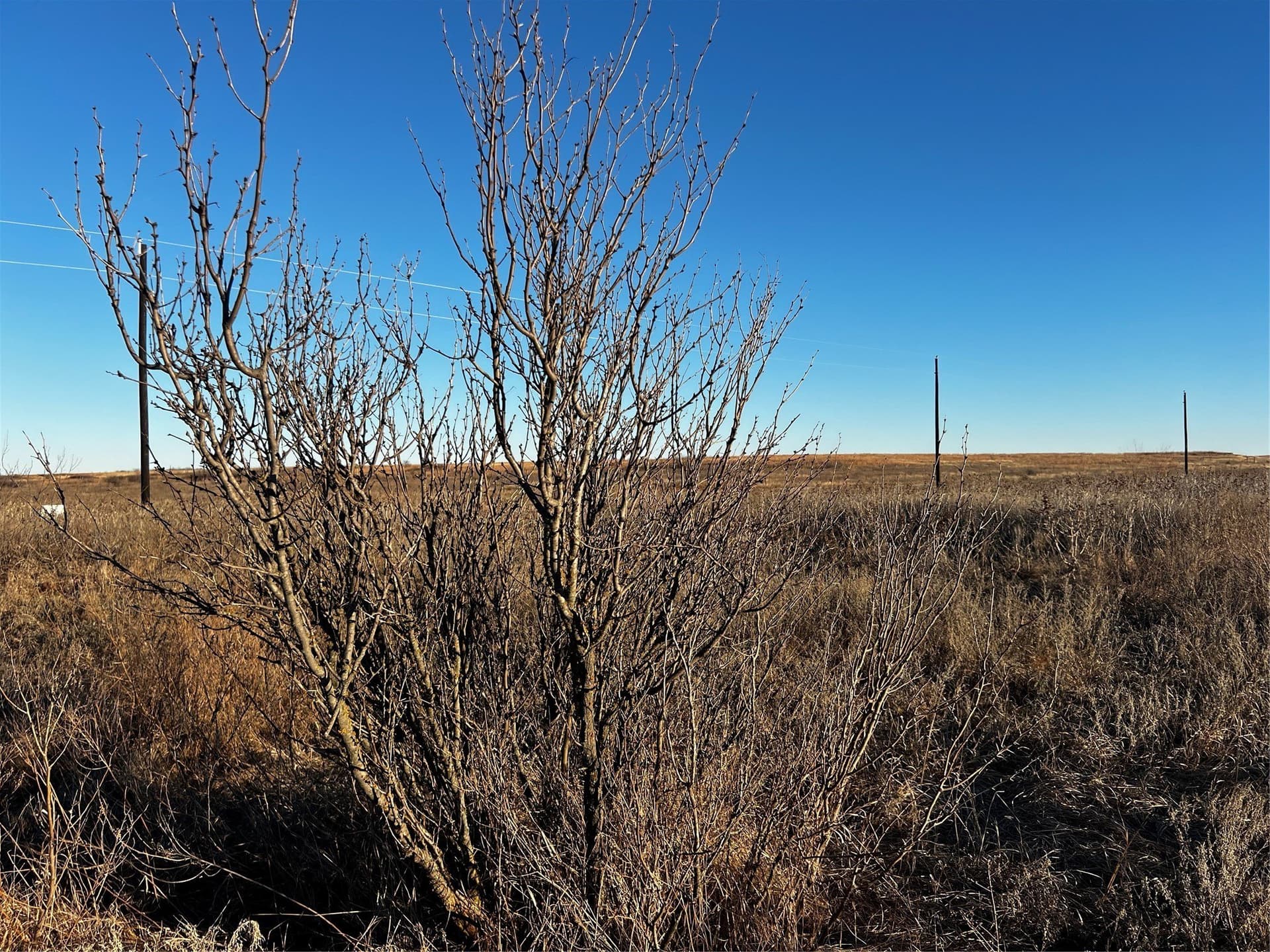 10.01 acres in Montague County - photo 4