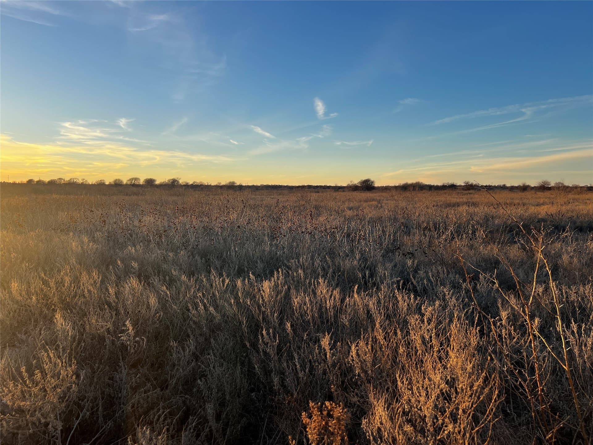 10.01 acres in Montague County