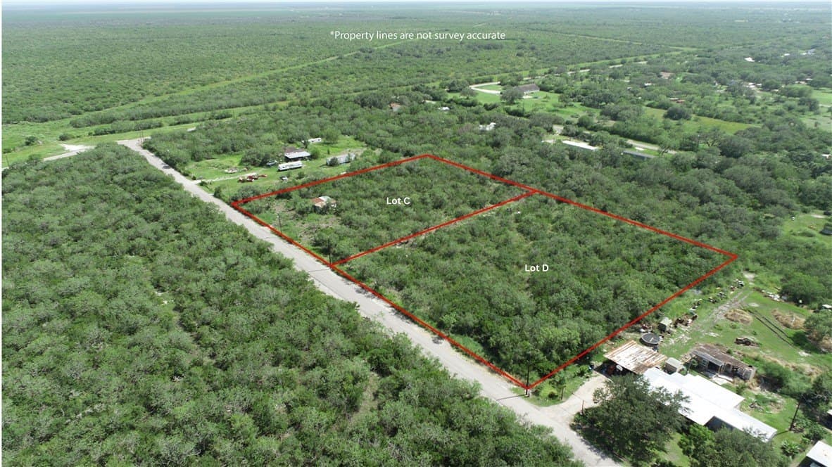 2 acres in Bee County gallery image 4