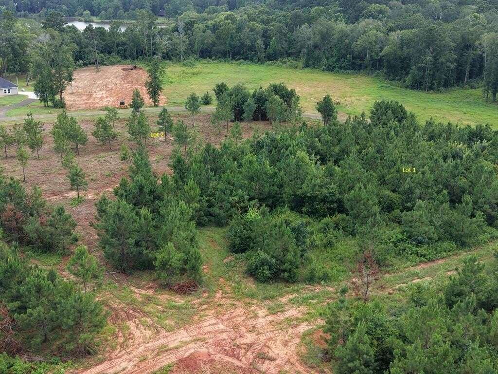 1.5 acres in Texas County - photo 3