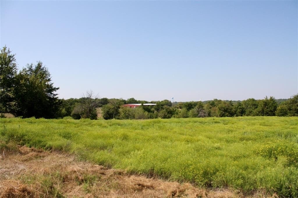 20 acres in Fannin County featured view