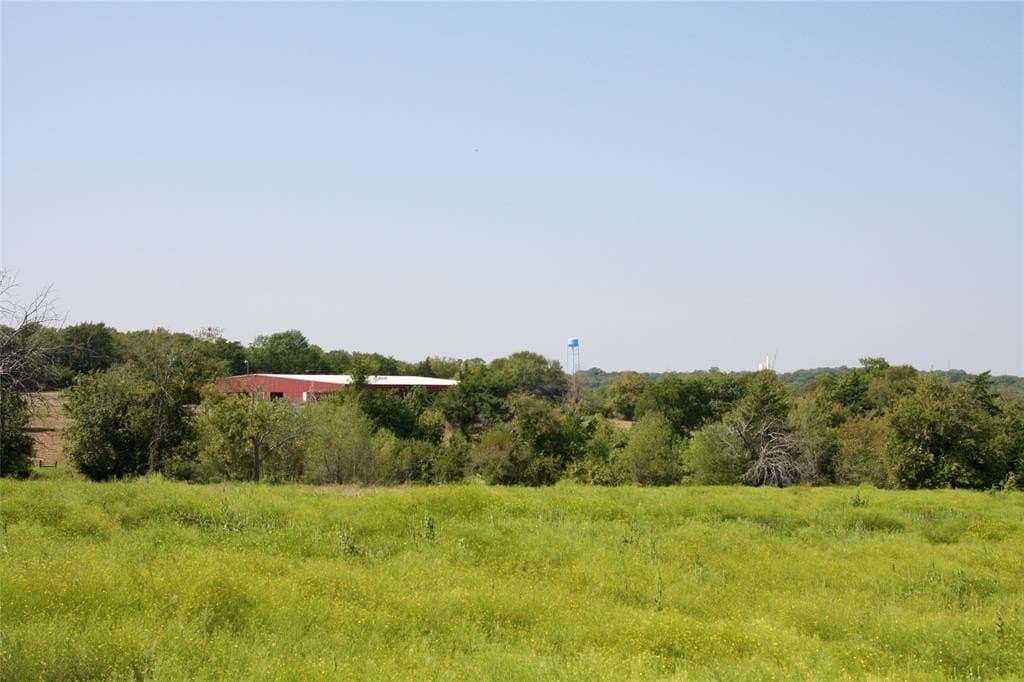 20 acres in Fannin County gallery image 2