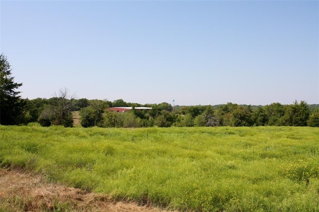 20 acres in Fannin County gallery image 4