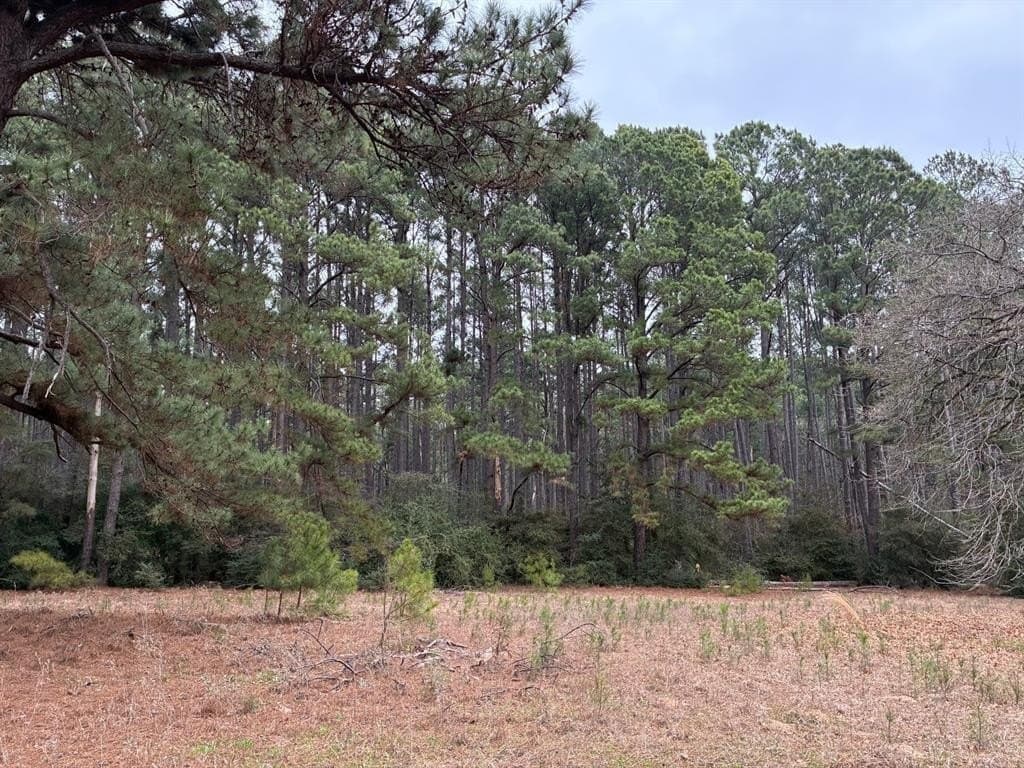 50 acres in Freestone County