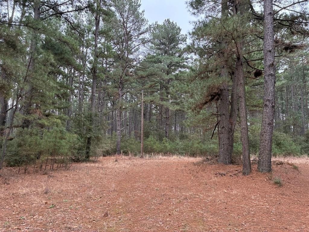 50 acres in Freestone County featured view