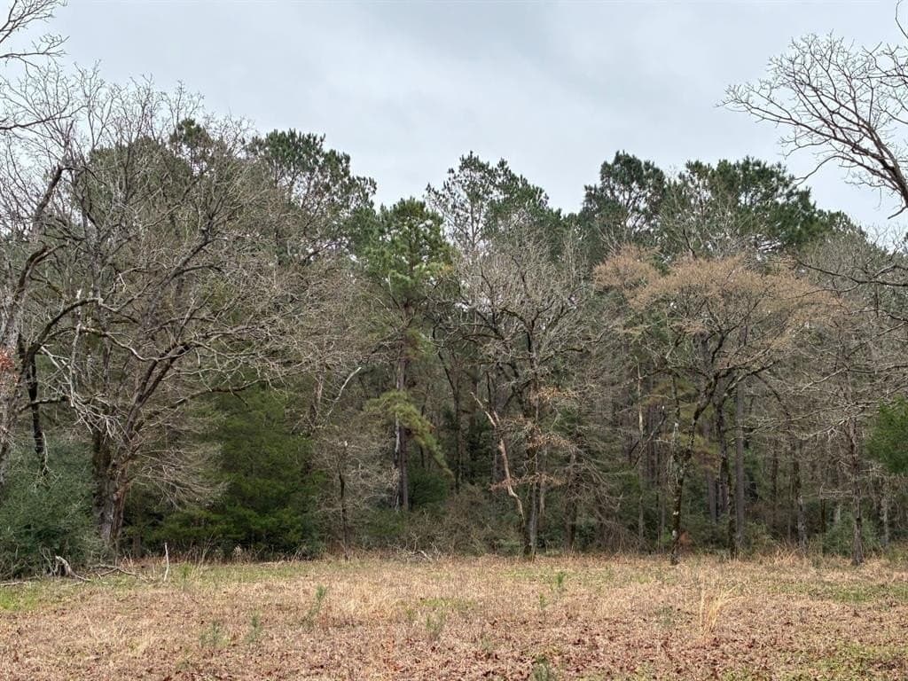 50 acres in Freestone County gallery image 2