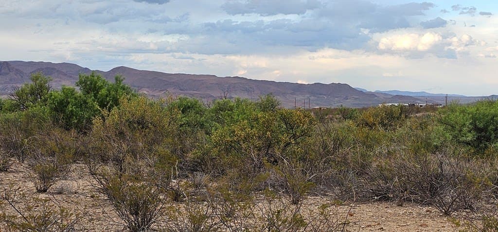 5 acres in Brewster County gallery image 3