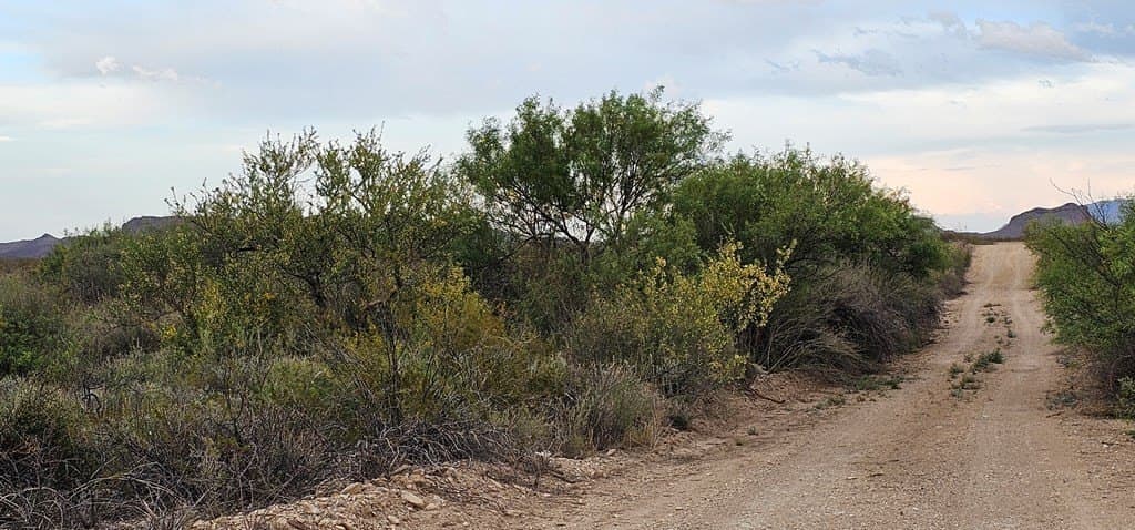 5 acres in Brewster County gallery image 4