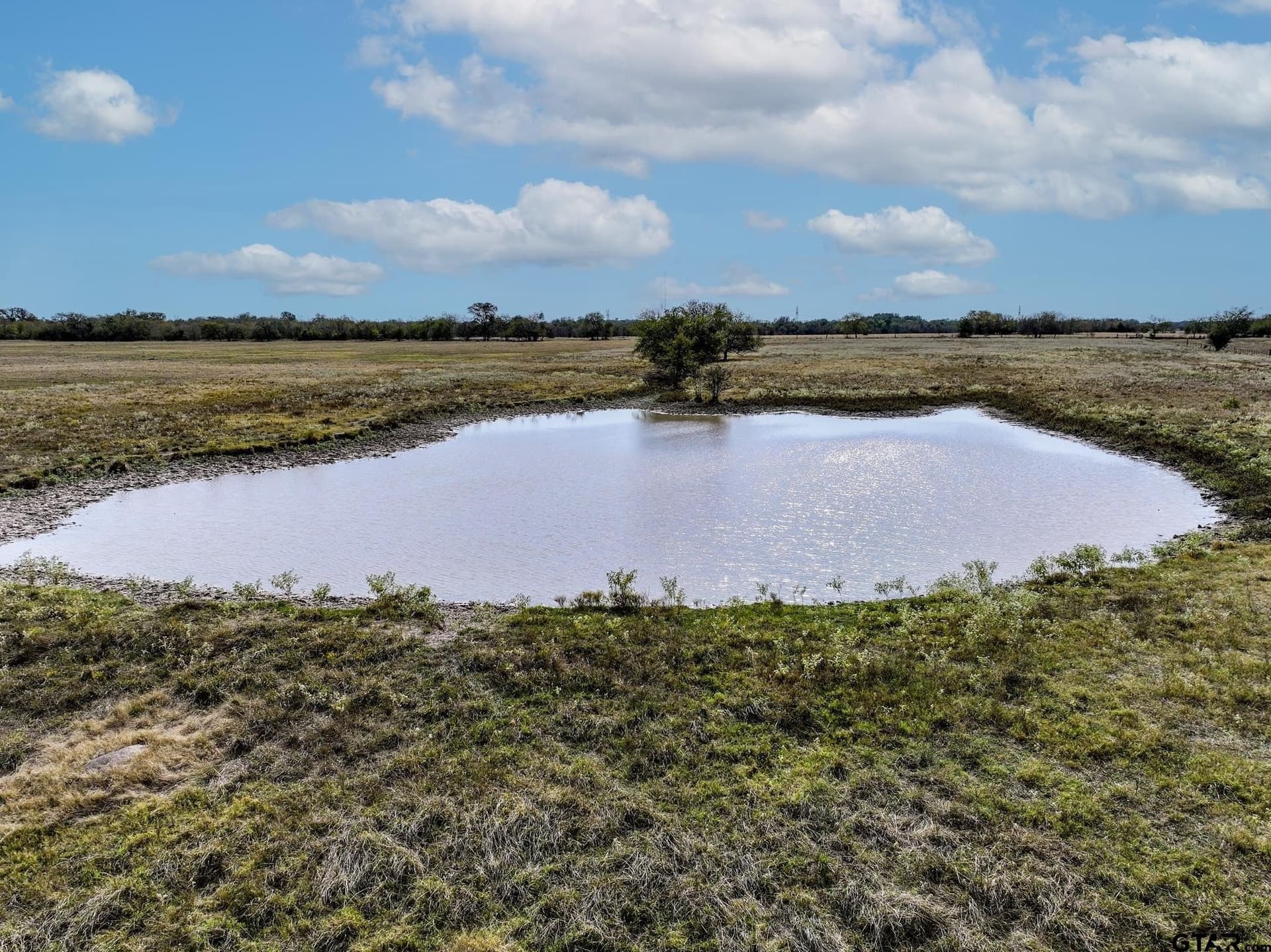 112.08 acres in Hopkins County gallery image 4