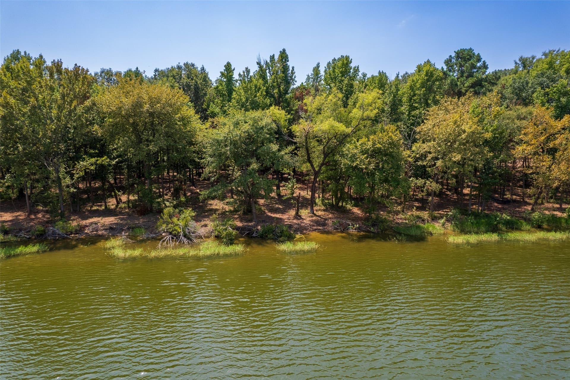 1.72 acres in Camp County - photo 11