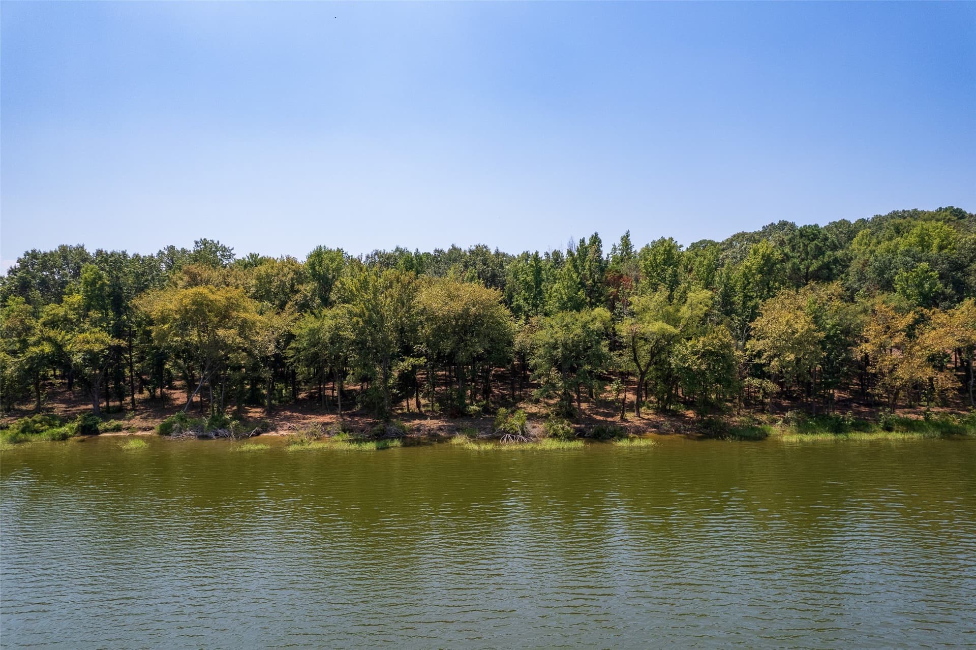 1.72 acres in Camp County - photo 8