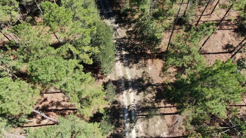 43.5 acres in Texas County - photo 24