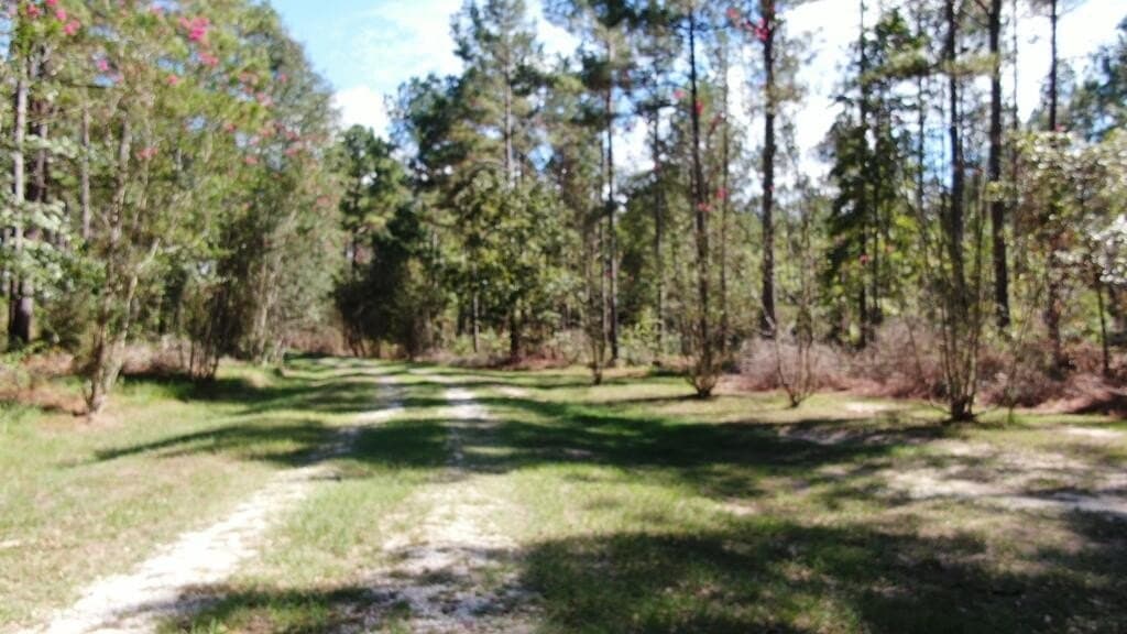 43.5 acres in Texas County - photo 4