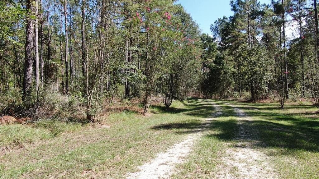 43.5 acres in Texas County - photo 3
