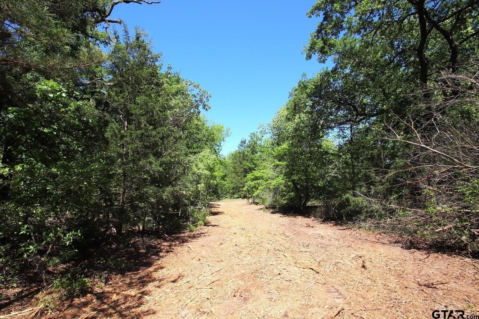 40 acres in Wood County featured view
