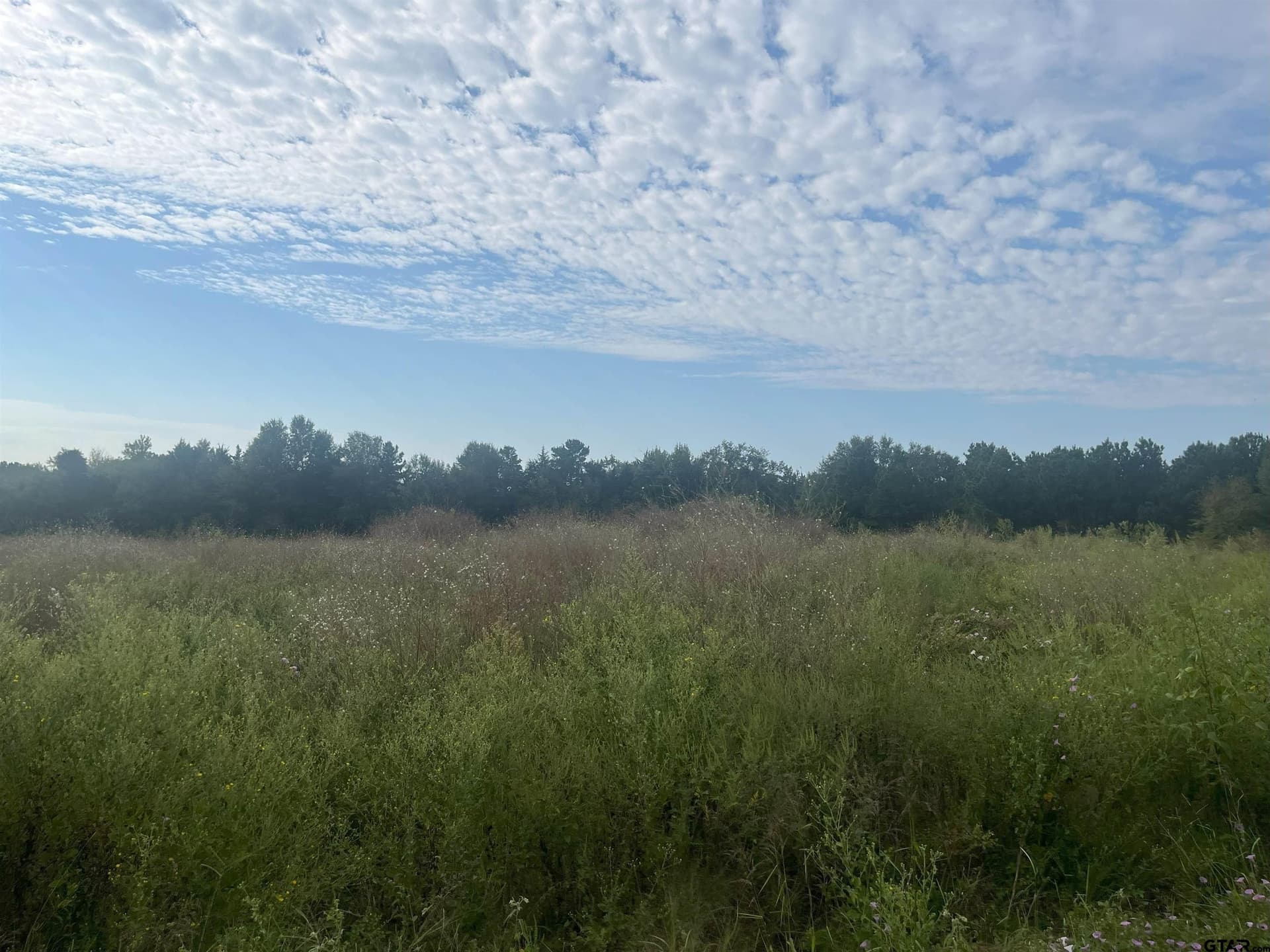 16.85 acres in Cherokee County - photo 8